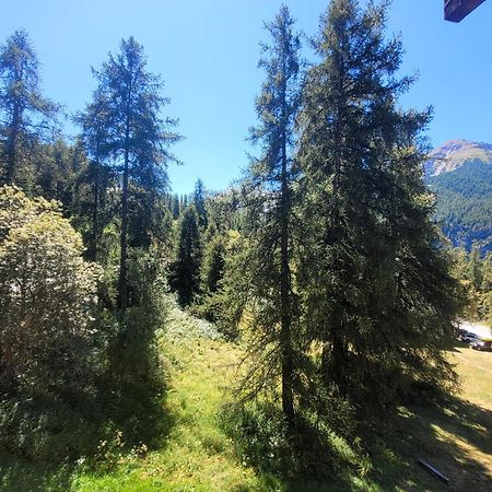 Le Lodge Des Marmottes - Calme, Cosy, Vue Nature Les Orres Εξωτερικό φωτογραφία